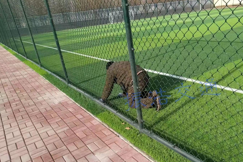 Plot stadionu